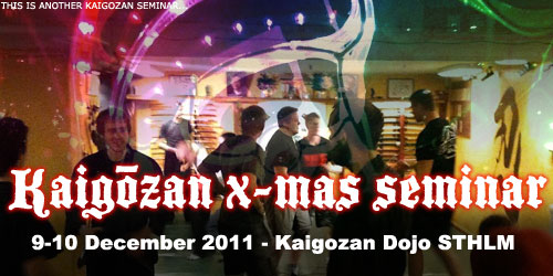 Bujinkan seminar sponsored by Kaigozan Dojo in Stockholm Sweden Bujinkan seminar sponsored by Kaigozan Dojo in Stockholm Sweden