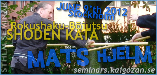 Bujinkan seminar sponsored by Kaigozan Dojo in Stockholm Sweden Bujinkan seminar sponsored by Kaigozan Dojo in Stockholm Sweden
